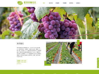 浅绿宽屏农庄采摘网站建设-案例